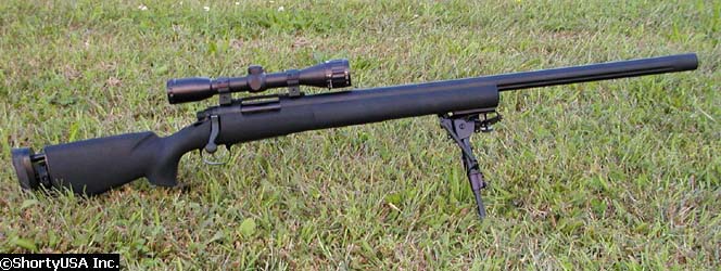 snipe3.jpg
